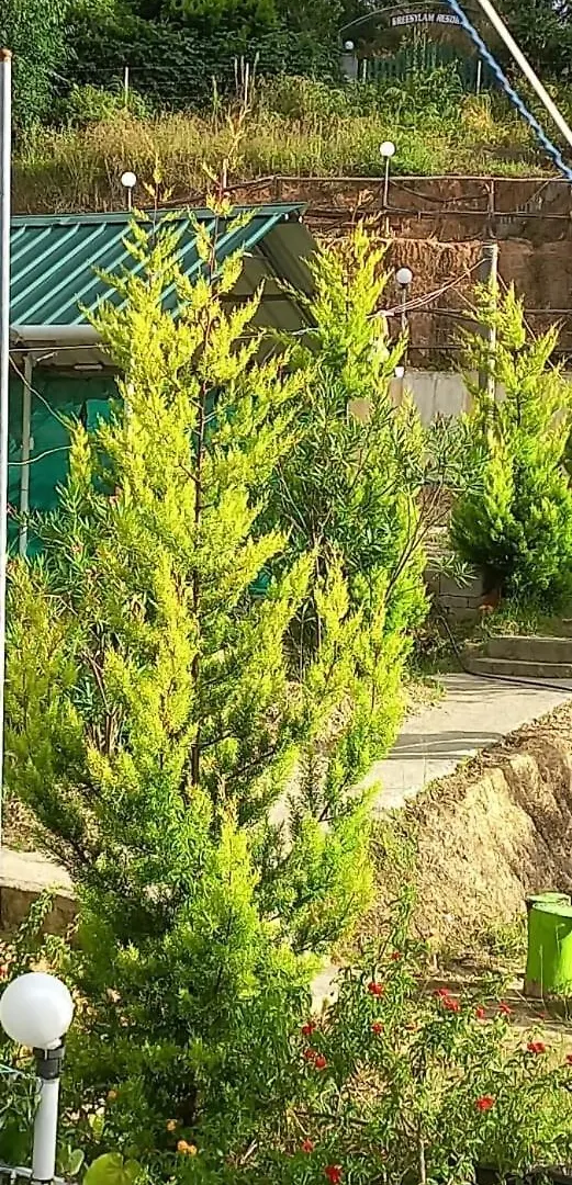 Aden Valley, Kanthalloor